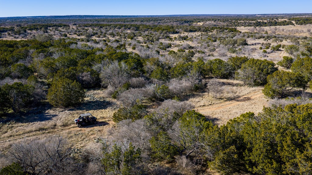1774 Shafer Lane Hext, TX 76848 - Photo 10 of 82