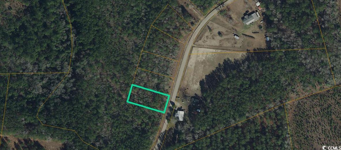 Lot 1 McNabb Road Loris, SC 29569 - Photo 1 of 1 Gallery Image 1