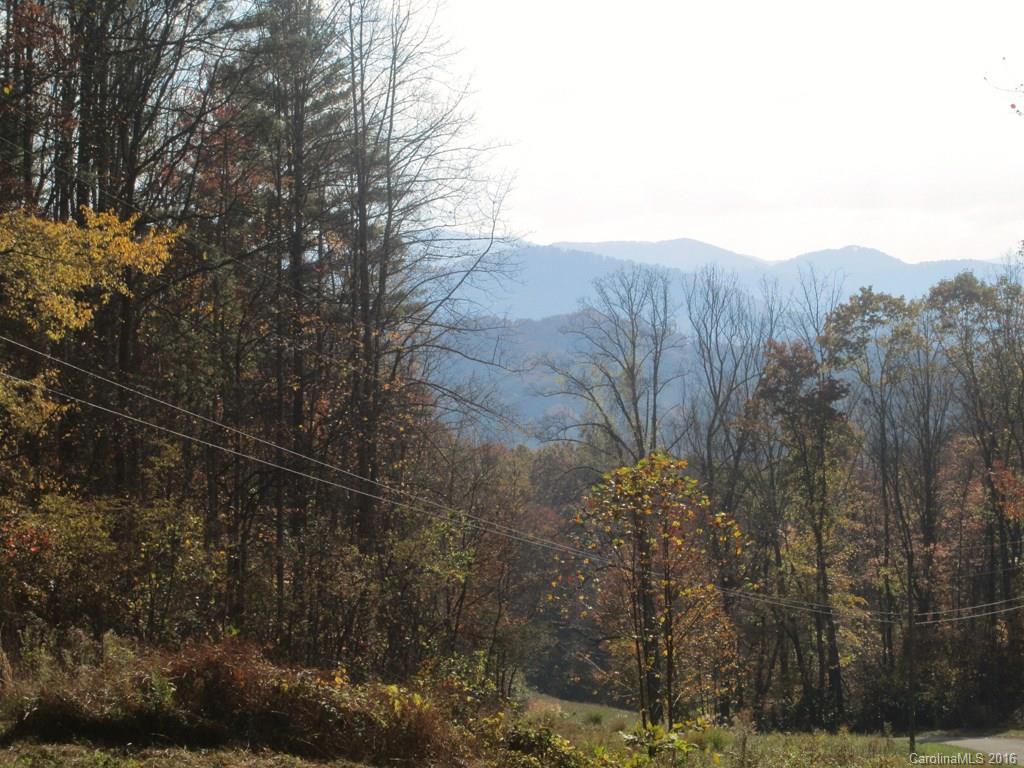 9999 Jordan Branch Road Mars Hill, NC 28754 - Photo 1 of 24 Gallery Image 1