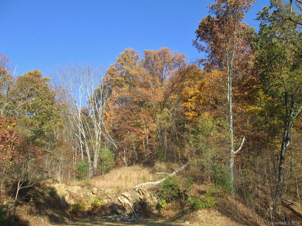 9999 Jordan Branch Road Mars Hill, NC 28754 - Photo 14 of 24 Gallery Image 14