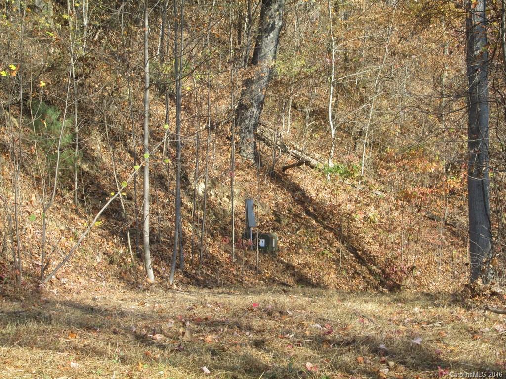 9999 Jordan Branch Road Mars Hill, NC 28754 - Photo 16 of 24 Gallery Image 16