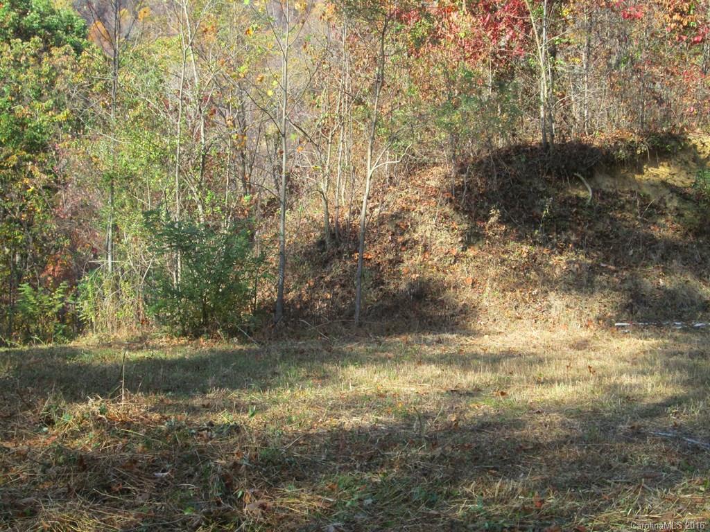 9999 Jordan Branch Road Mars Hill, NC 28754 - Photo 17 of 24 Gallery Image 17