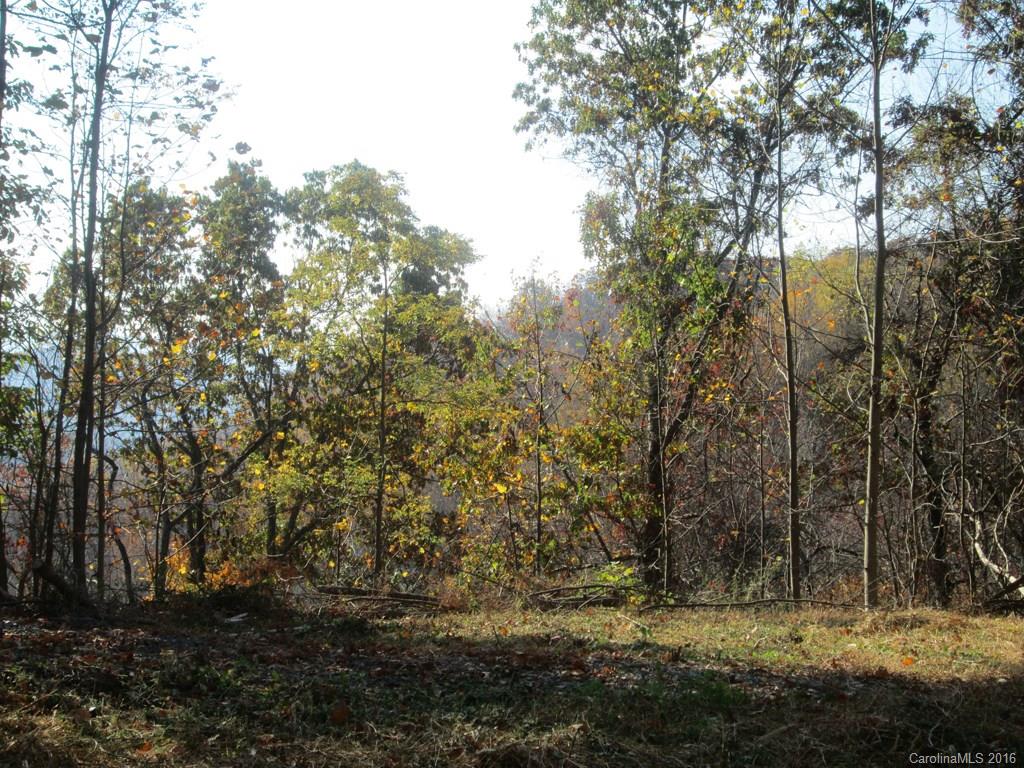 9999 Jordan Branch Road Mars Hill, NC 28754 - Photo 18 of 24 Gallery Image 18