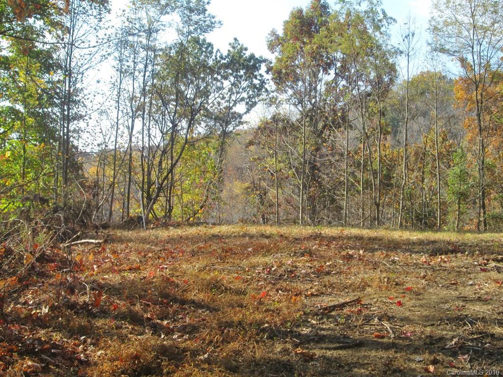 9999 Jordan Branch Road Mars Hill, NC 28754 - Photo 19 of 24 Gallery Image 19