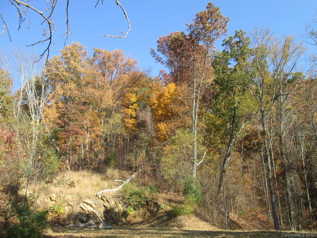 9999 Jordan Branch Road Mars Hill, NC 28754 - Photo 20 of 24 Gallery Image 20