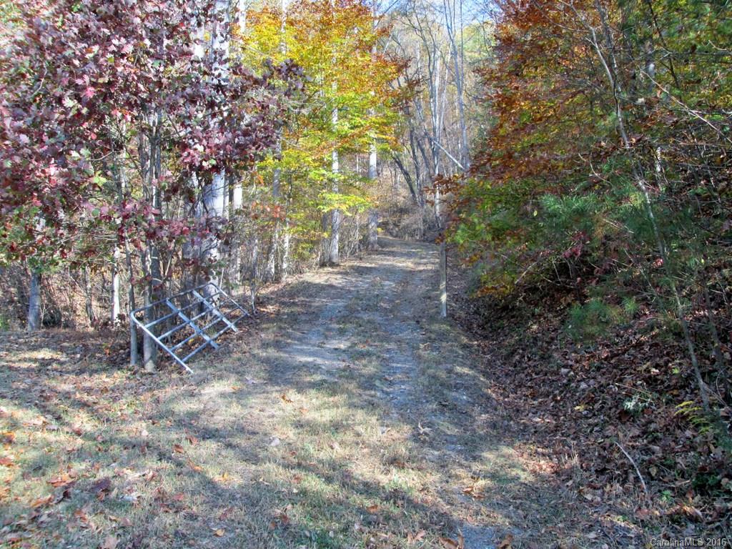 9999 Jordan Branch Road Mars Hill, NC 28754 - Photo 3 of 24 Gallery Image 3