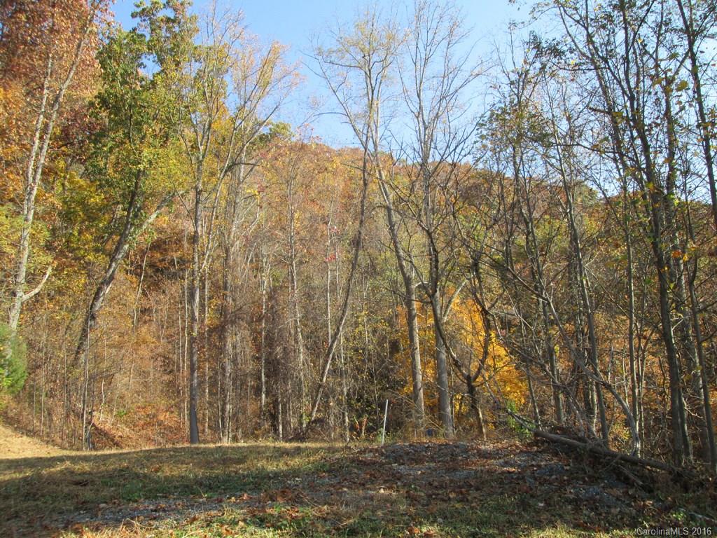 9999 Jordan Branch Road Mars Hill, NC 28754 - Photo 21 of 24 Gallery Image 21