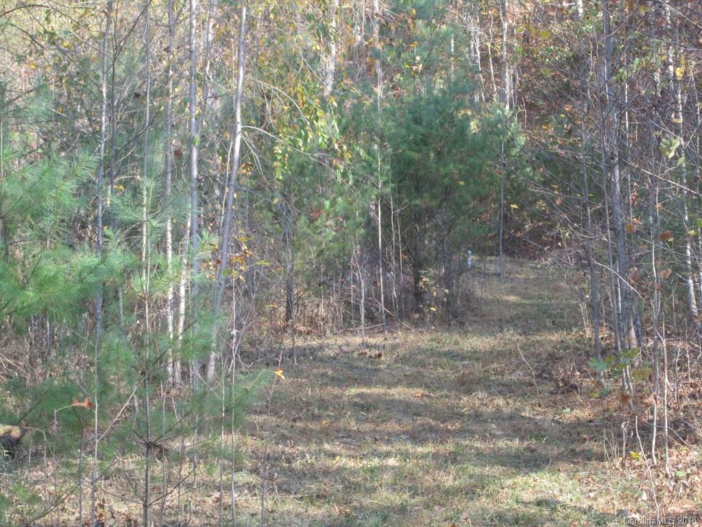 9999 Jordan Branch Road Mars Hill, NC 28754 - Photo 23 of 24 Gallery Image 23