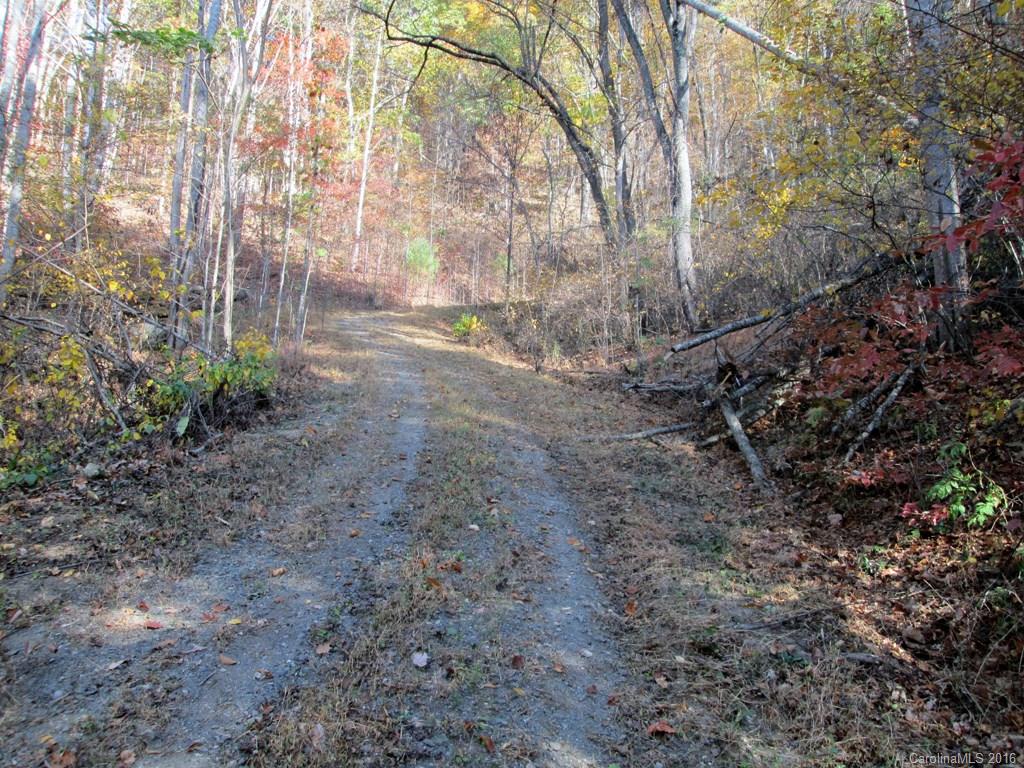 9999 Jordan Branch Road Mars Hill, NC 28754 - Photo 5 of 24 Gallery Image 5