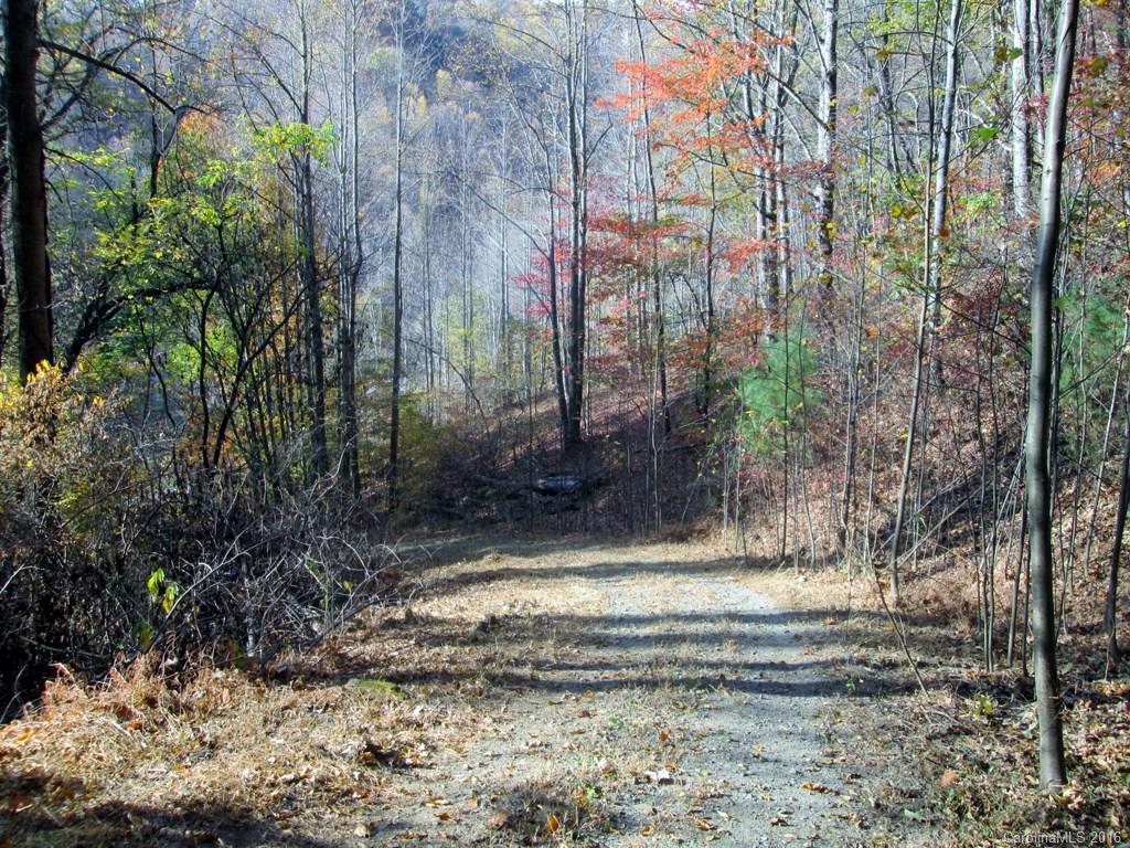 9999 Jordan Branch Road Mars Hill, NC 28754 - Photo 6 of 24 Gallery Image 6