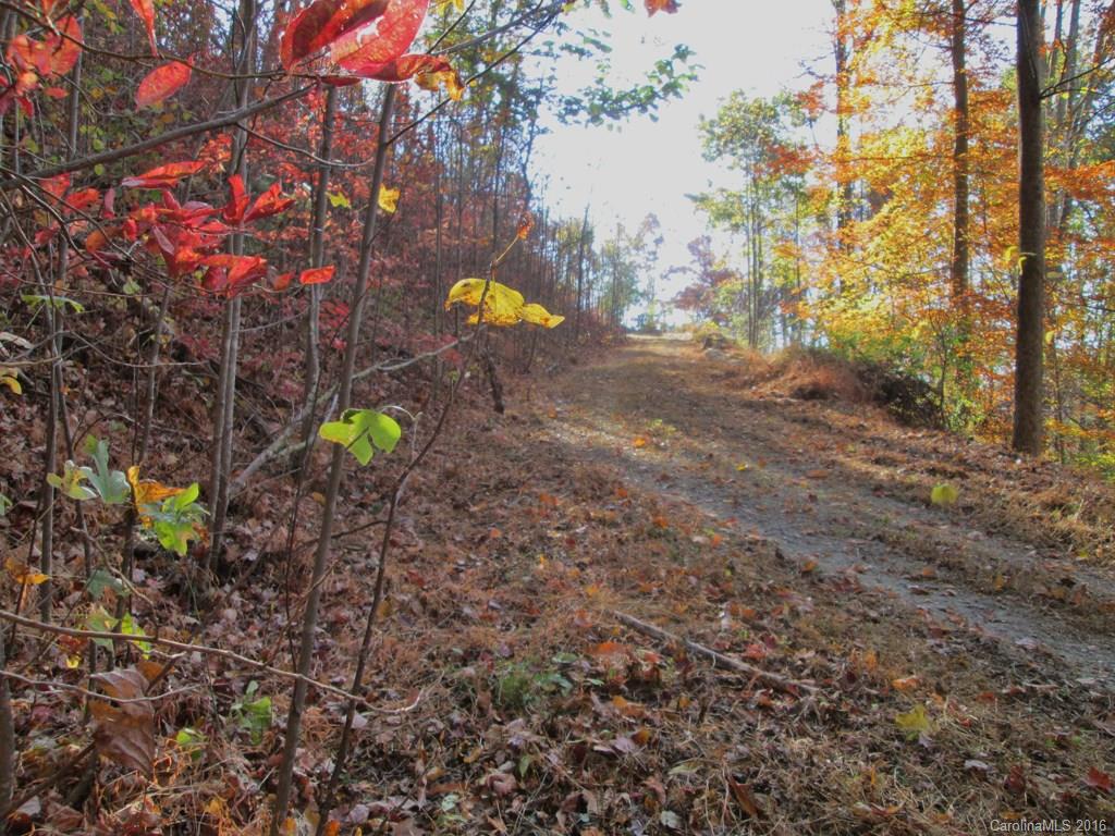 9999 Jordan Branch Road Mars Hill, NC 28754 - Photo 8 of 24 Gallery Image 8