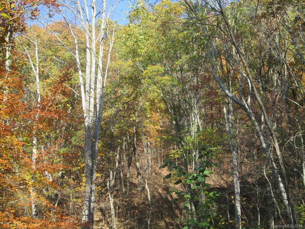 9999 Jordan Branch Road Mars Hill, NC 28754 - Photo 9 of 24 Gallery Image 9