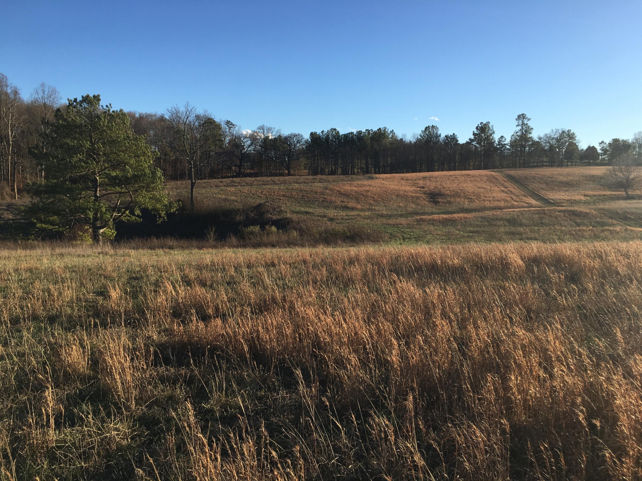 540 Mason Road Madisonville, TN 37354 - Photo 1 of 9 Gallery Image 1
