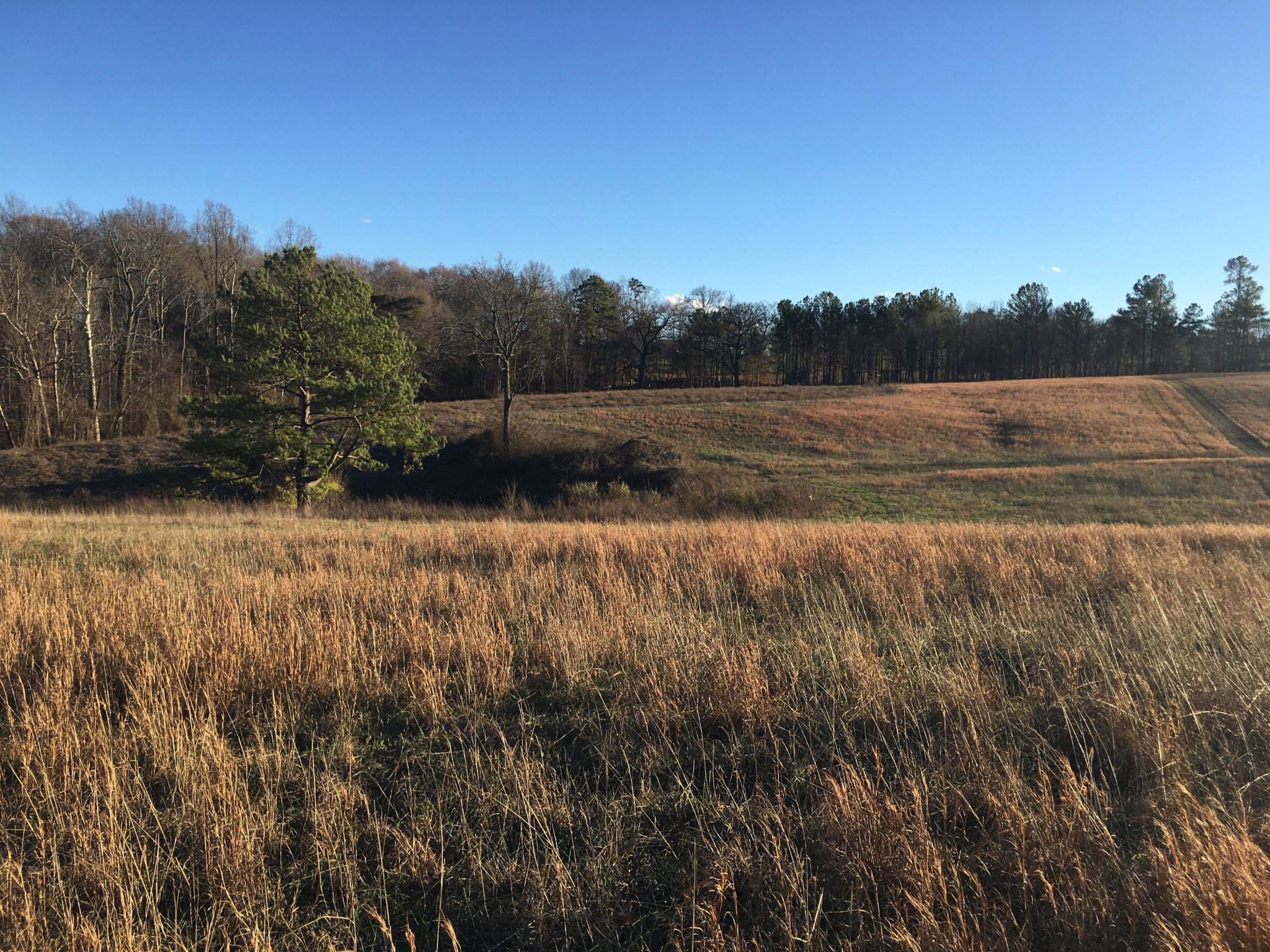 540 Mason Road Madisonville, TN 37354 - Photo 9 of 9 Gallery Image 9
