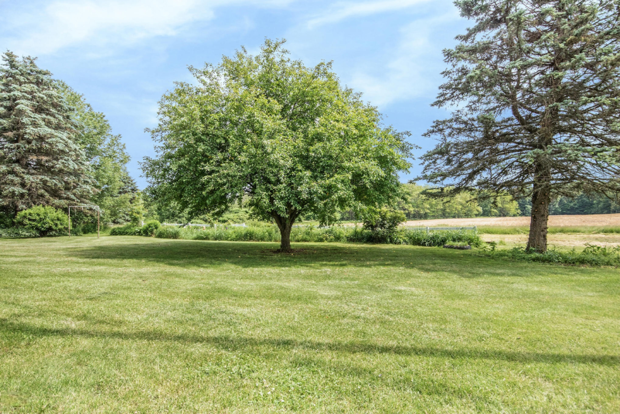 520 13 Mile Road, Unit D Sparta, MI 49345 - Photo 20 of 25 IMG_4361