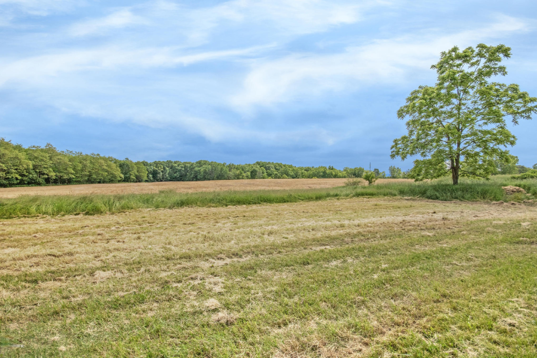 520 13 Mile Road, Unit D Sparta, MI 49345 - Photo 24 of 25 IMG_4366-