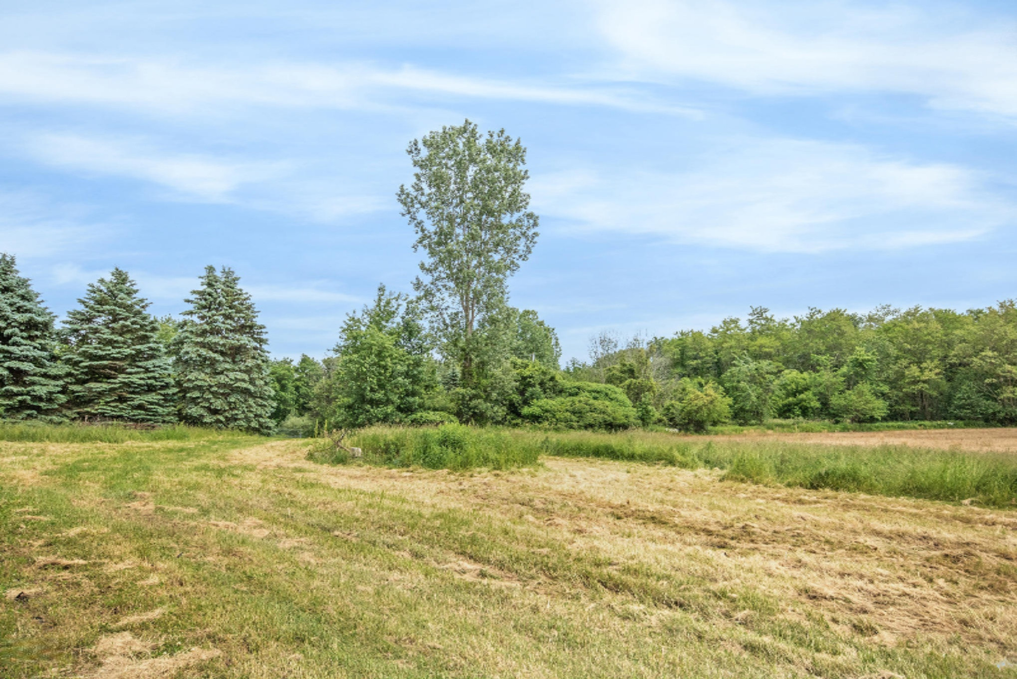 520 13 Mile Road, Unit D Sparta, MI 49345 - Photo 25 of 25 IMG_4367