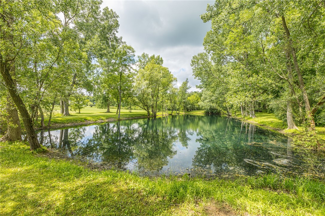 6869 Cadyville Road Livonia, NY 14487 - Photo 47 of 50