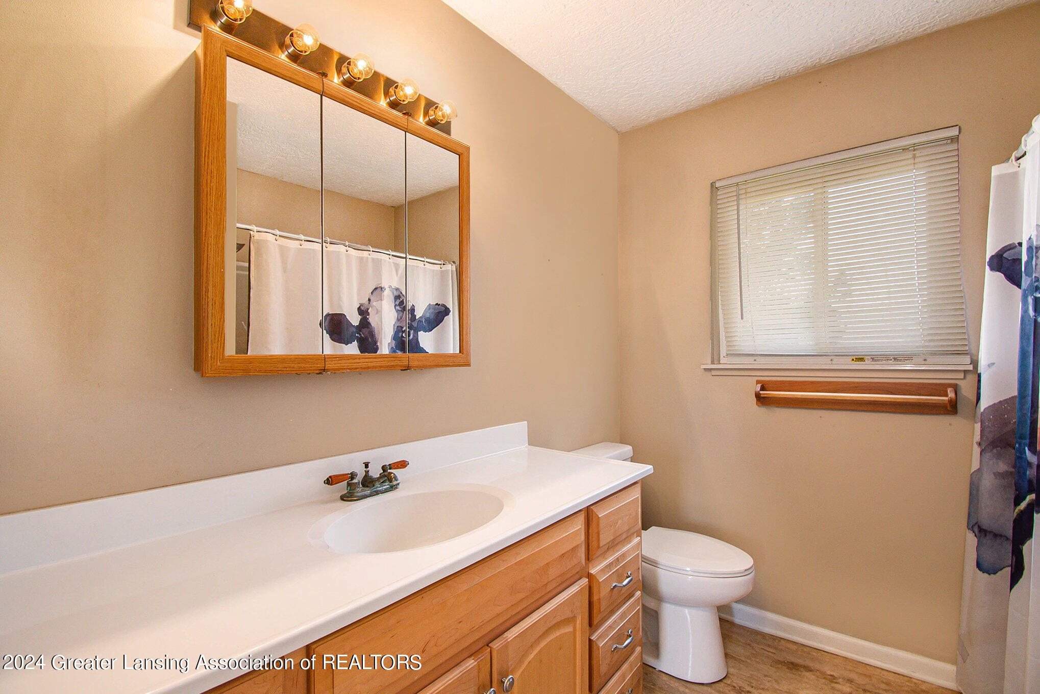 9520 Shilton Road Portland, MI 48875 - Photo 9 of 18 009_ndp5313