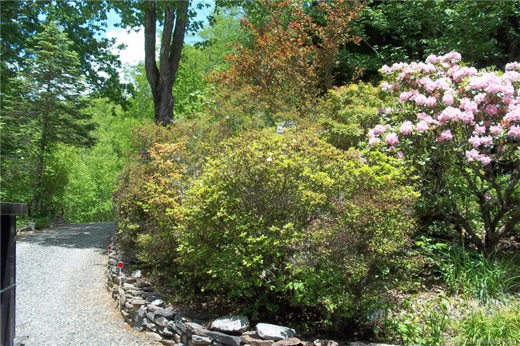 270 Rich Mountain Road Brevard, NC 28712 - Photo 14 of 32 Gallery Image 14