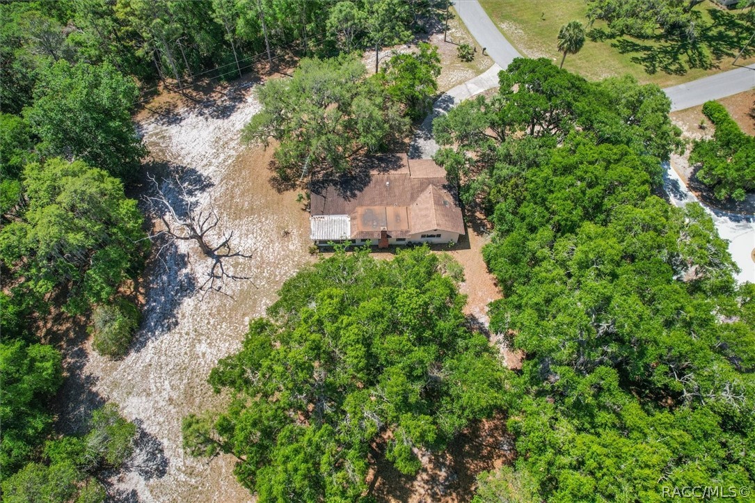 1255 South Estate Point Inverness, FL 34450 - Photo 49 of 84