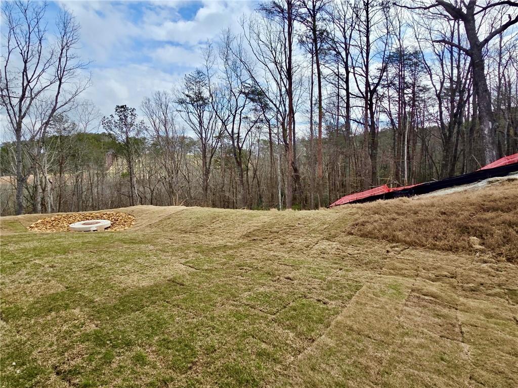 116 Cherokee Cove Waleska, GA 30183 - Photo 25 of 37
