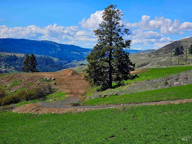 $310,000 | Lot 5 Quiet Hills Lane, Lenore, ID 83541