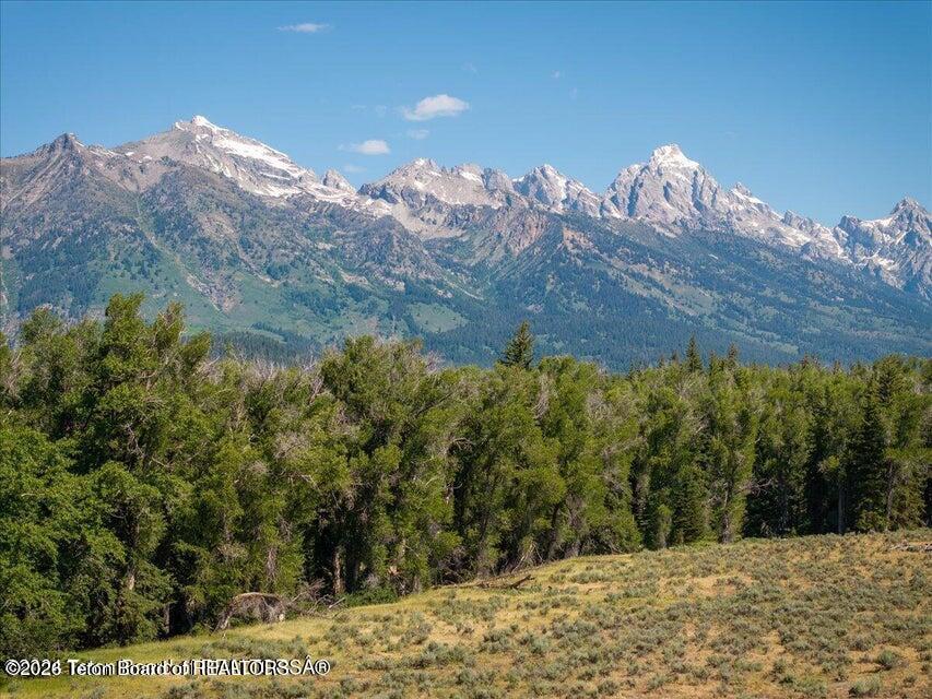 300 Reed Drive Jackson, WY 83001 - Photo 1 of 14 300 1