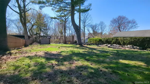 a view of backyard with tree