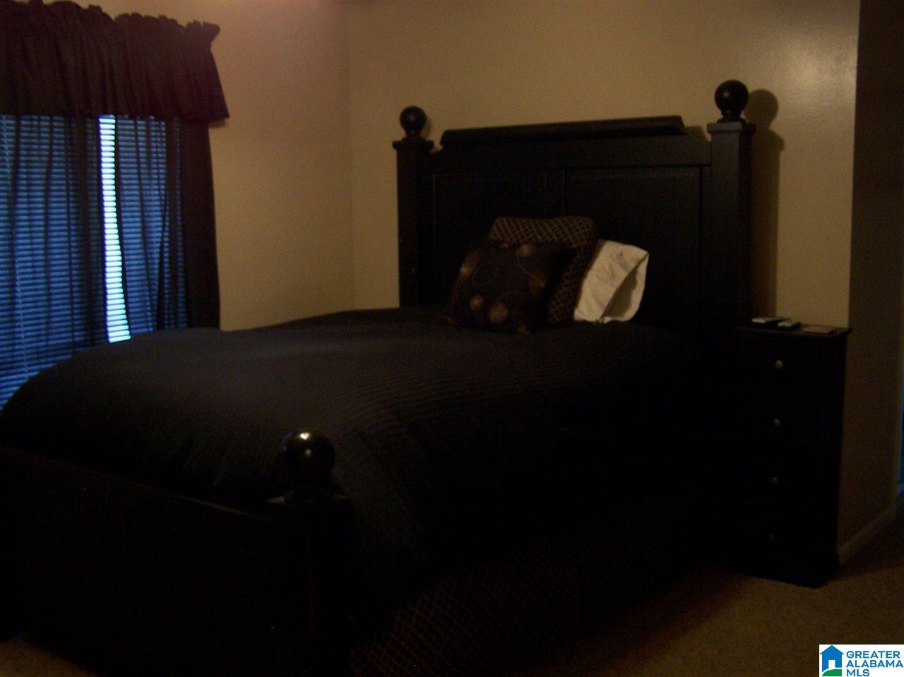 175 Solomon Road Oneonta, AL 35121 - Photo 25 of 49