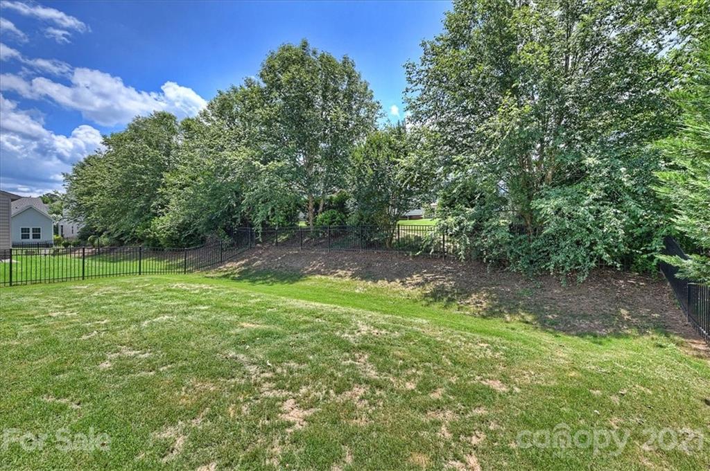 3007 Fallondale Road Waxhaw, NC 28173 - Photo 35 of 46 a view of a yard with a tree