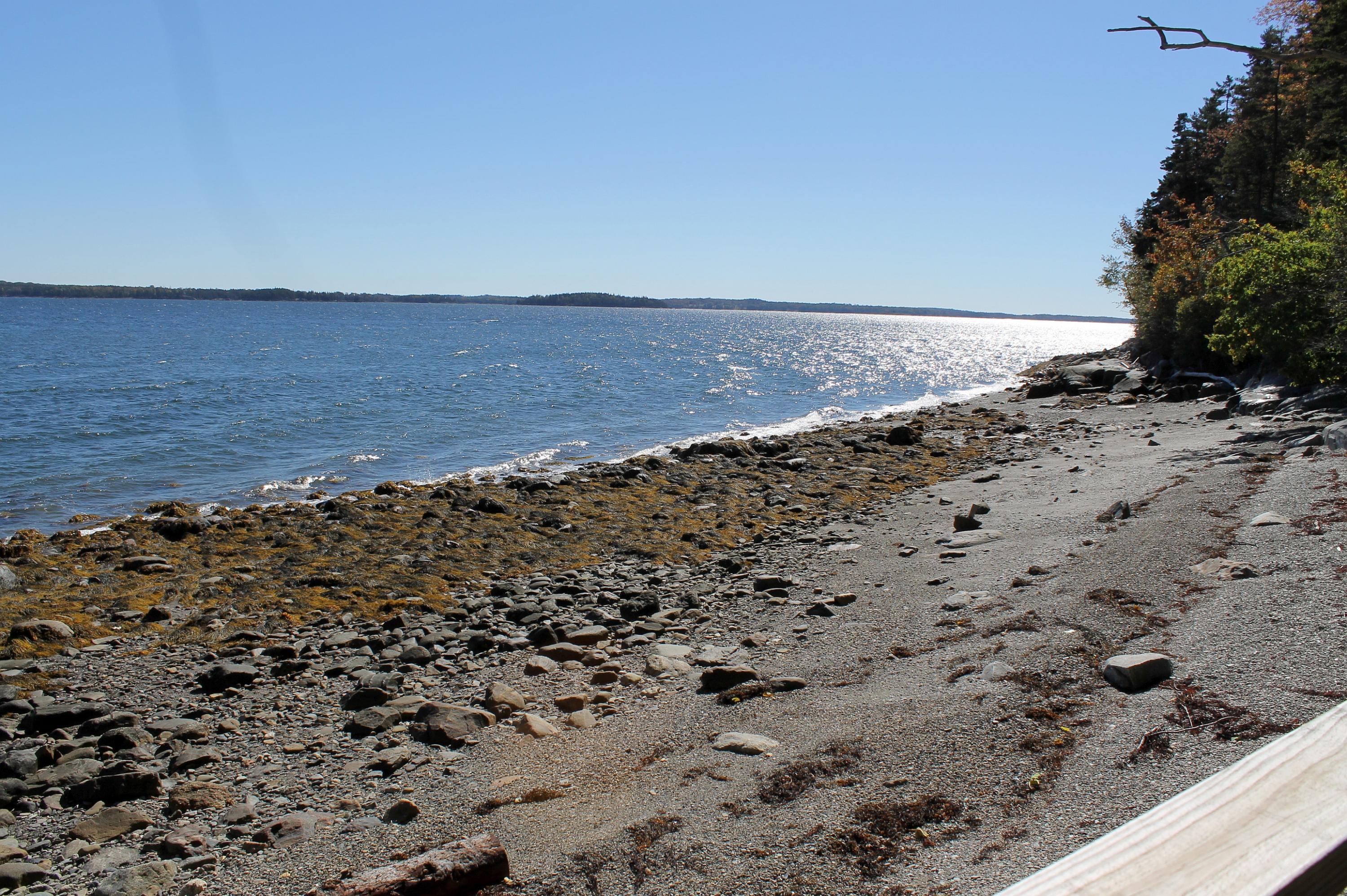 338 Shore Road Northport, ME 04849 - Photo 6 of 35 IMG_1196
