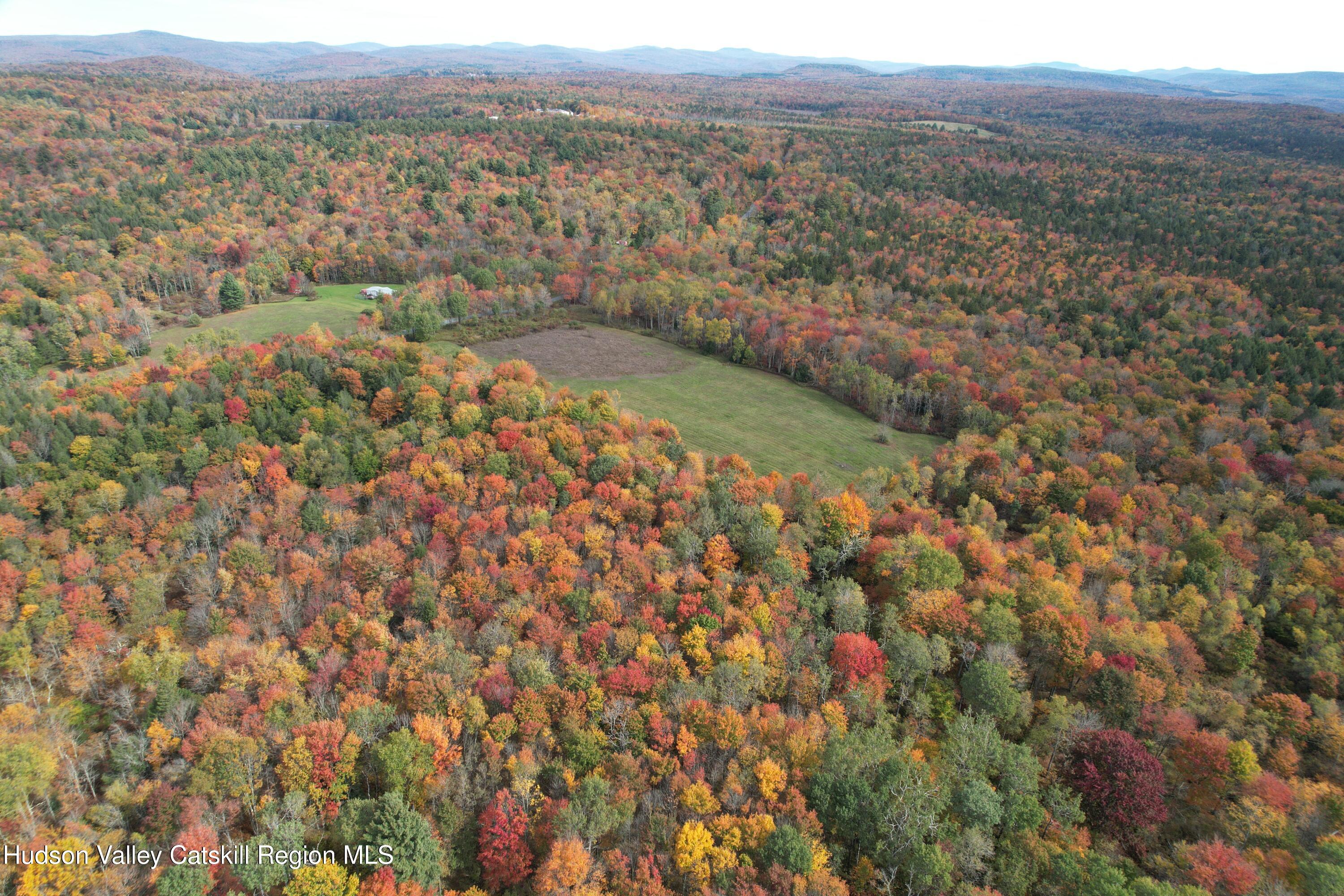 Tbd Anderson Road 1 Road Parksville, NY 12768 - Photo 4 of 27 DJI_0132