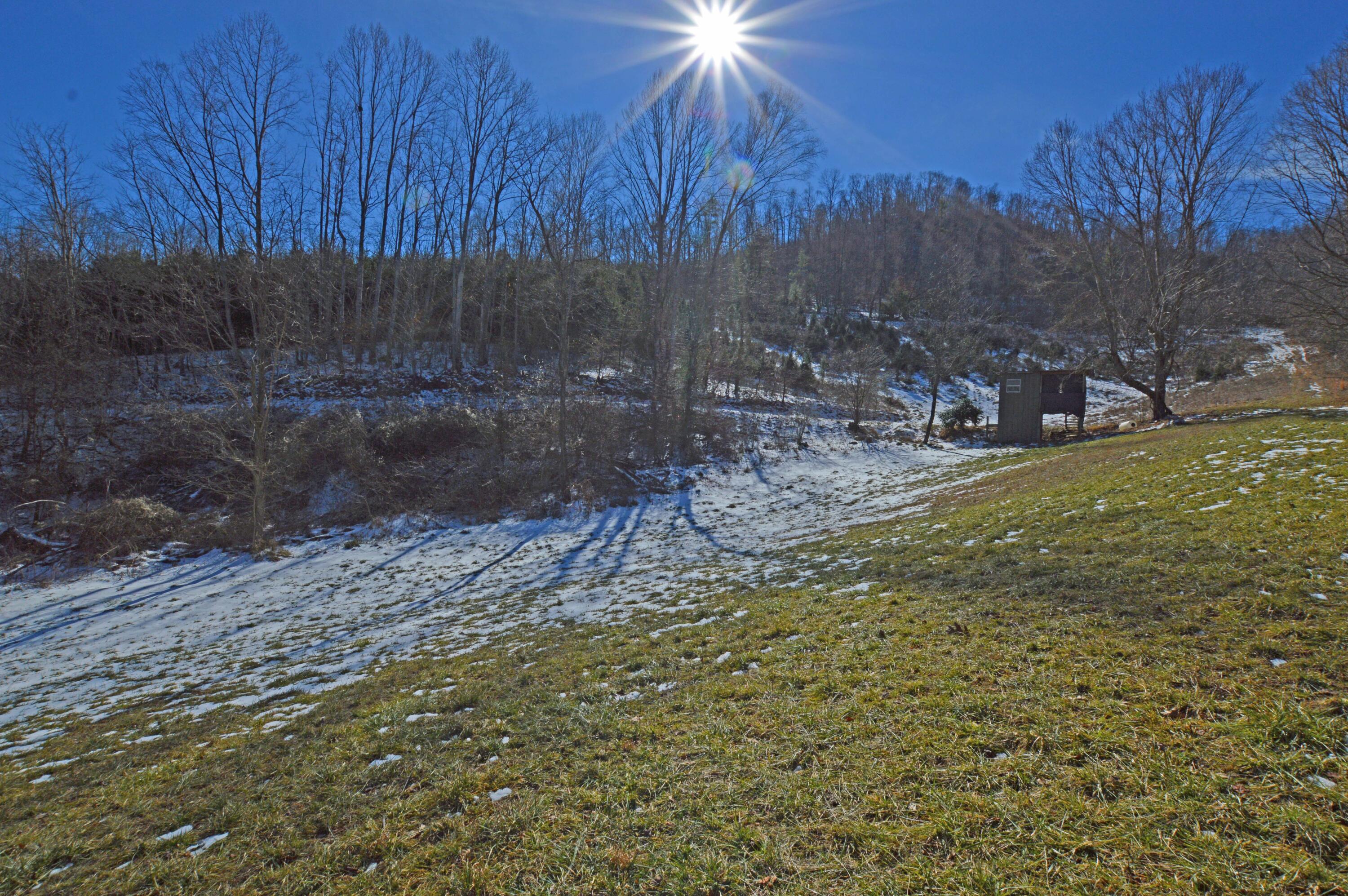 724 Poga Road Butler, TN 37640 - Photo 12 of 45 724 Poga11
