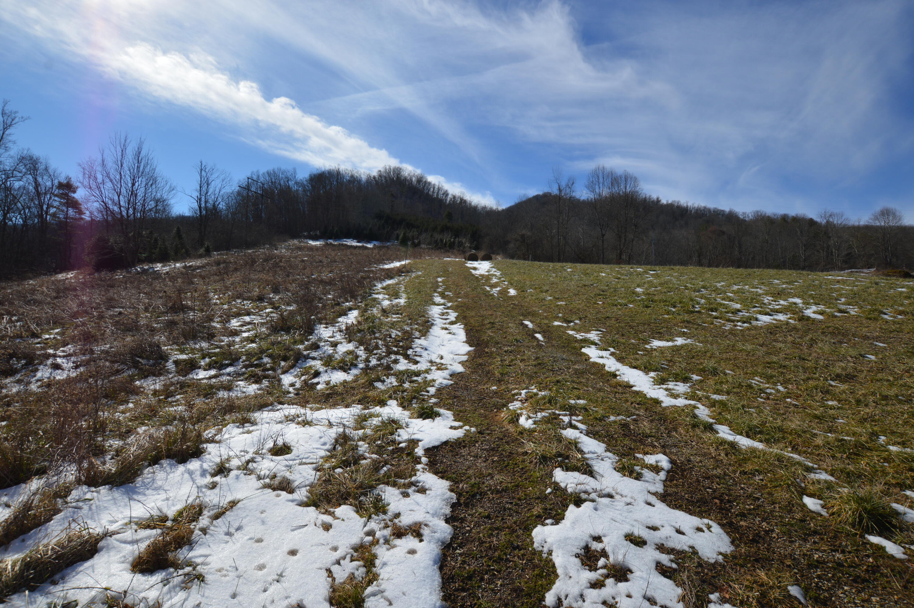 724 Poga Road Butler, TN 37640 - Photo 16 of 45 724 Poga15