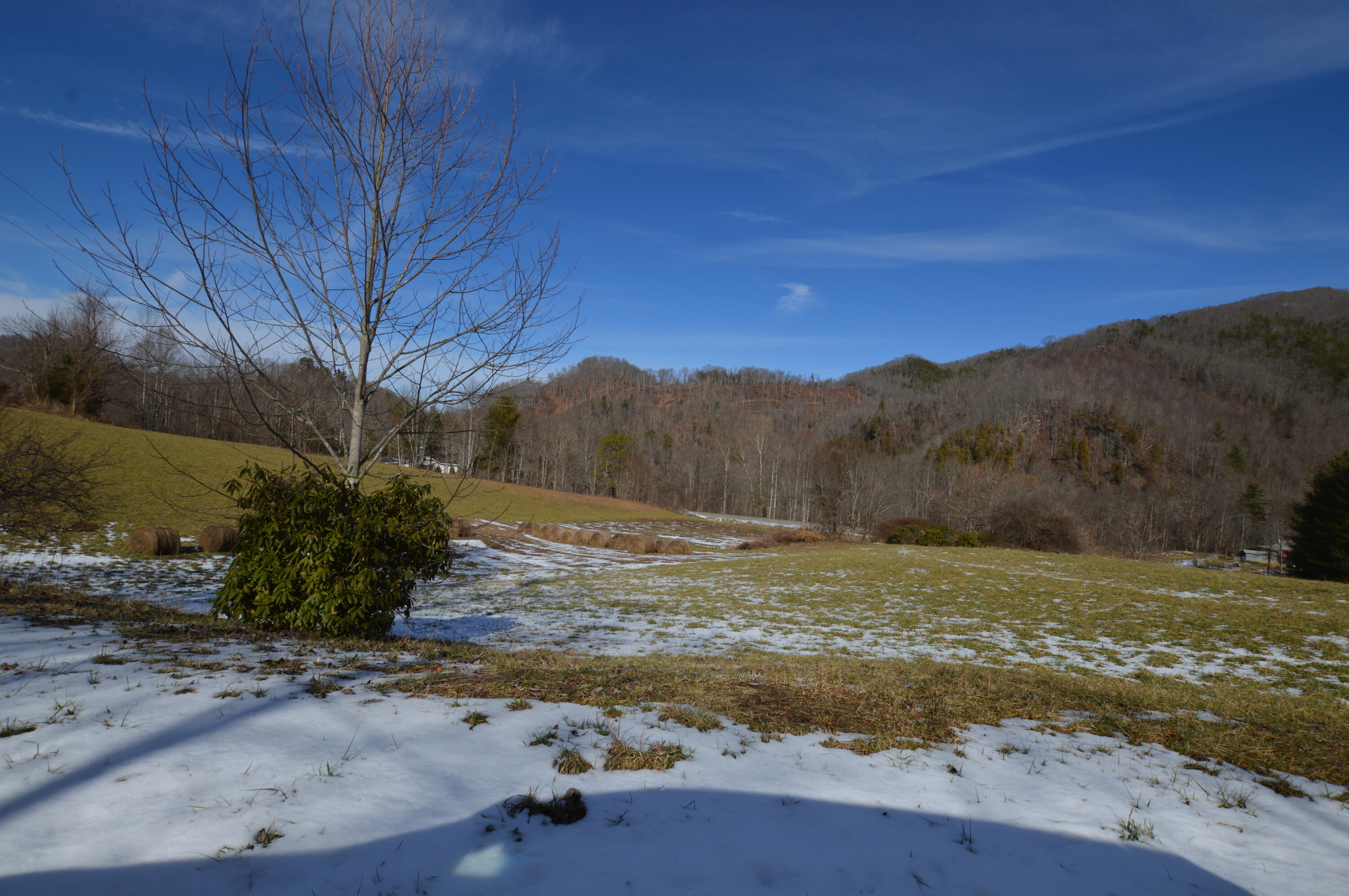 724 Poga Road Butler, TN 37640 - Photo 19 of 45 724 Poga18