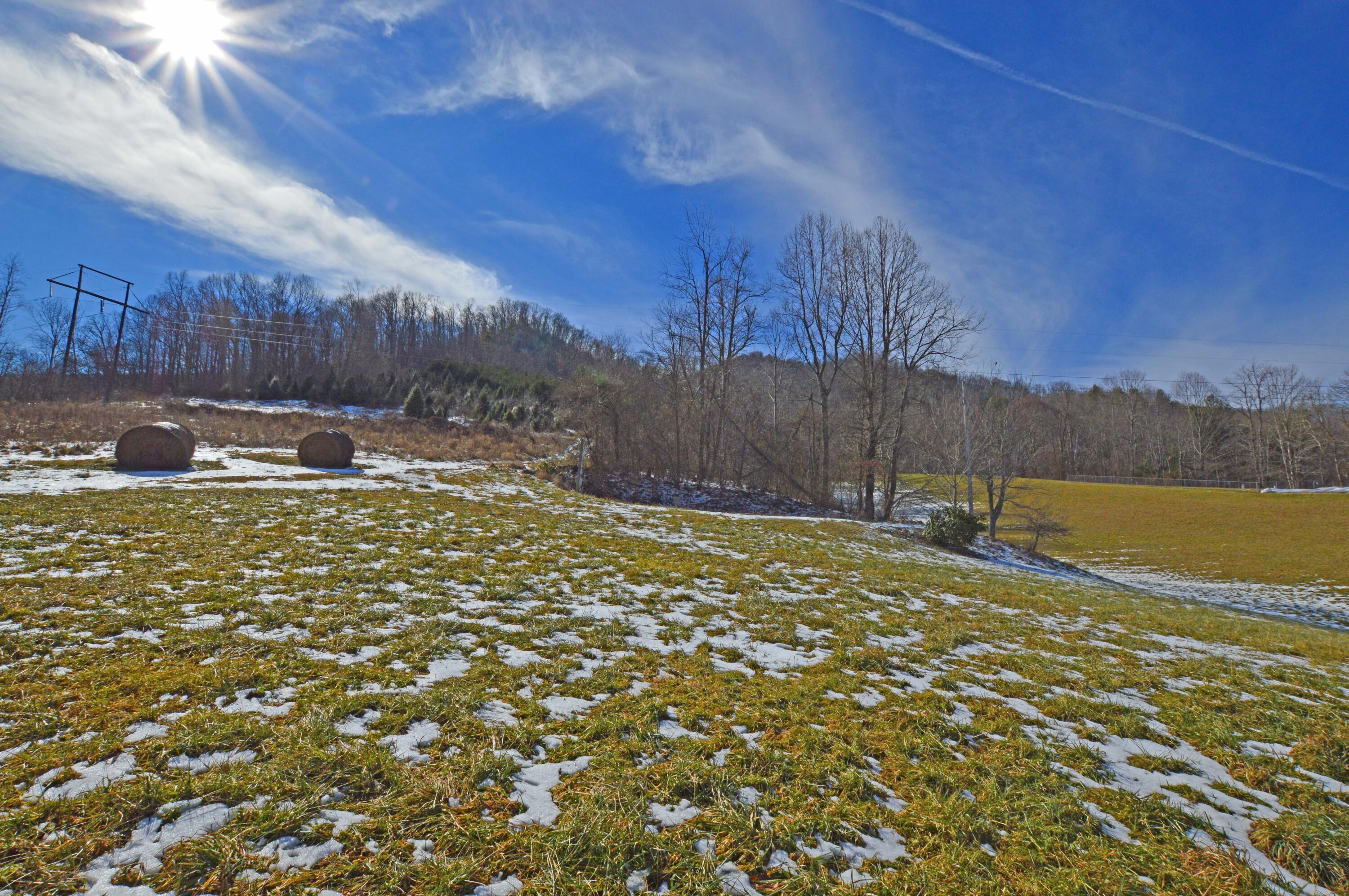 724 Poga Road Butler, TN 37640 - Photo 20 of 45 724 Poga19