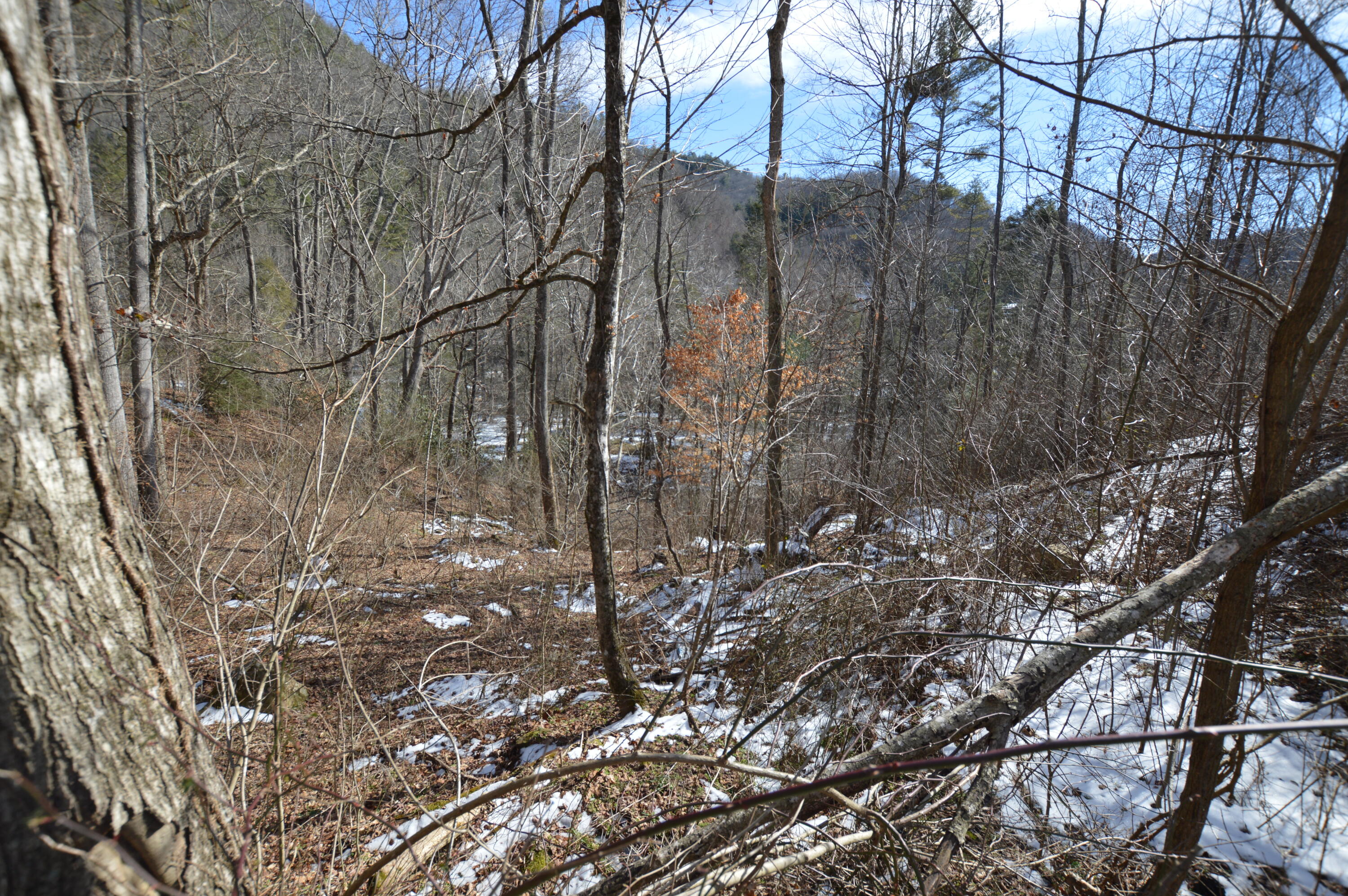 724 Poga Road Butler, TN 37640 - Photo 23 of 45 724 Poga22