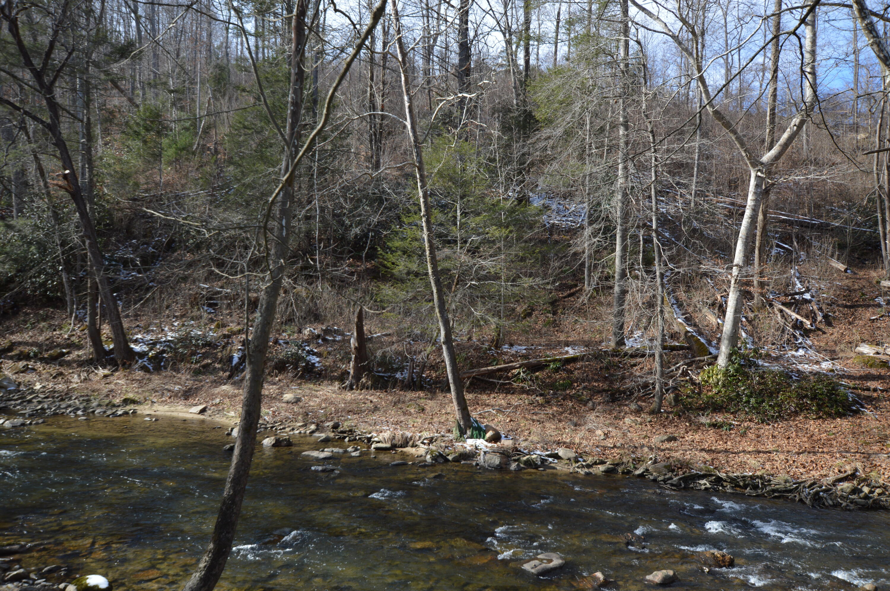 724 Poga Road Butler, TN 37640 - Photo 28 of 45 724 Poga27