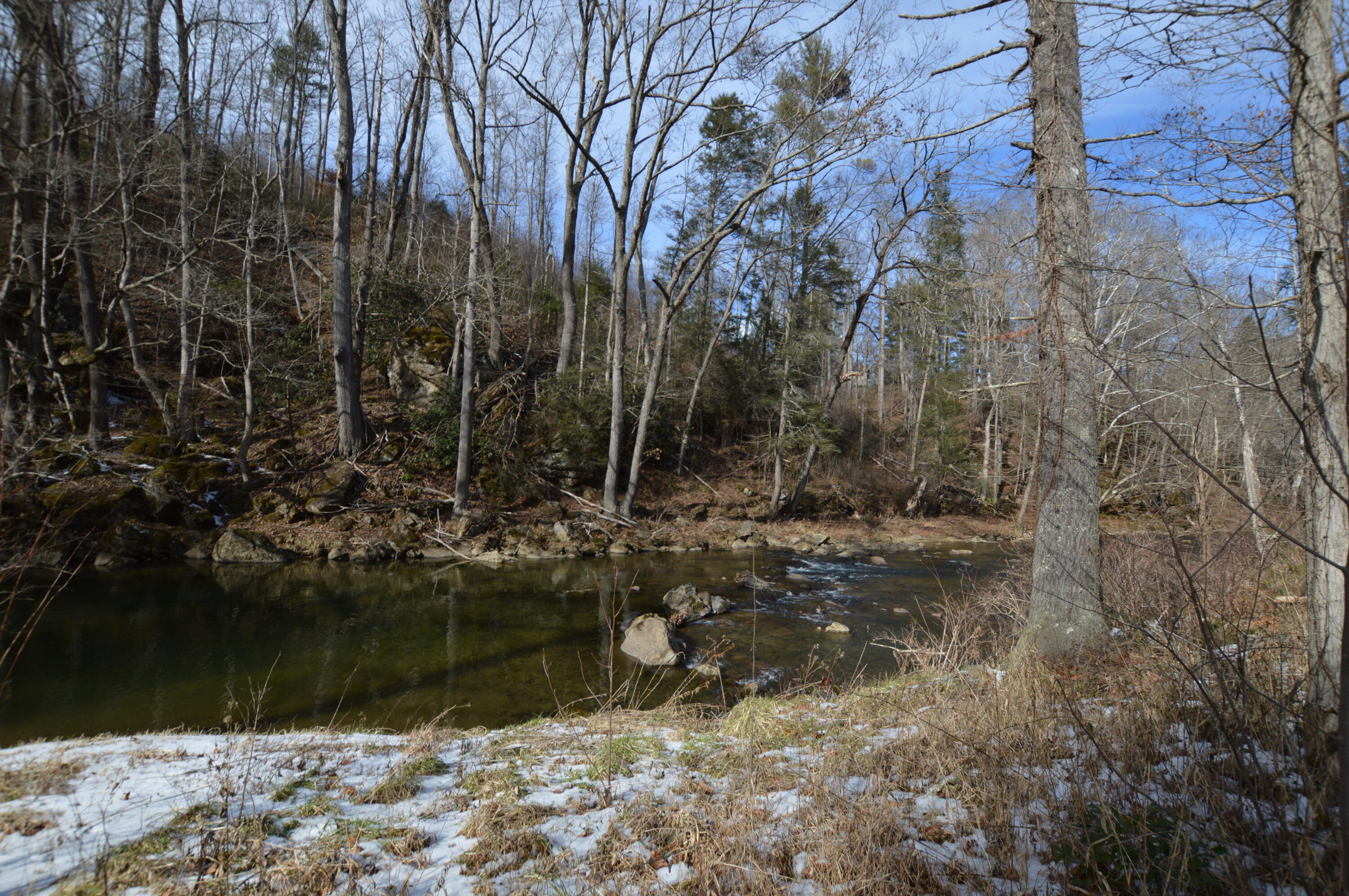 724 Poga Road Butler, TN 37640 - Photo 33 of 45 724 Poga32