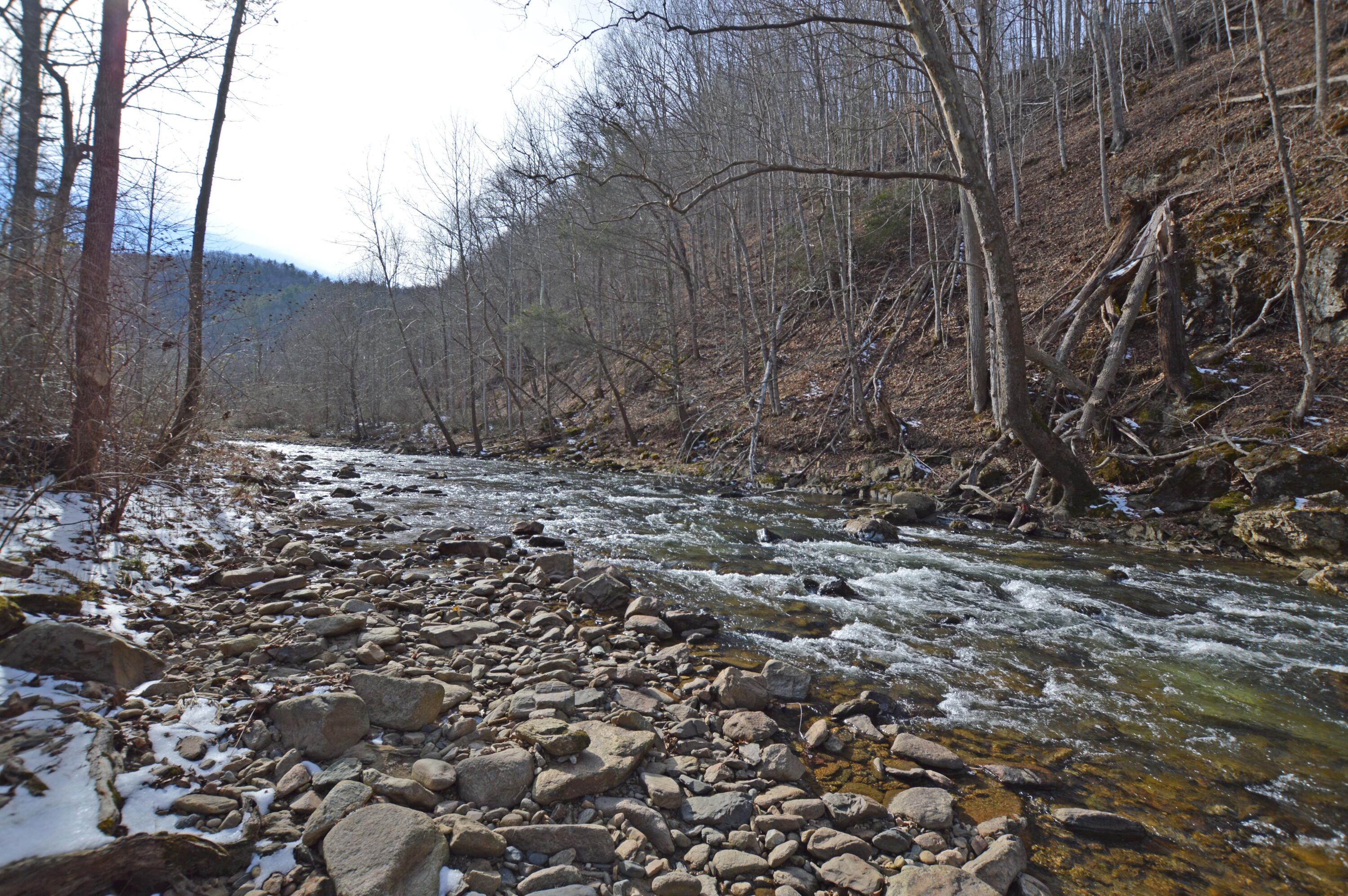 724 Poga Road Butler, TN 37640 - Photo 38 of 45 724 Poga38