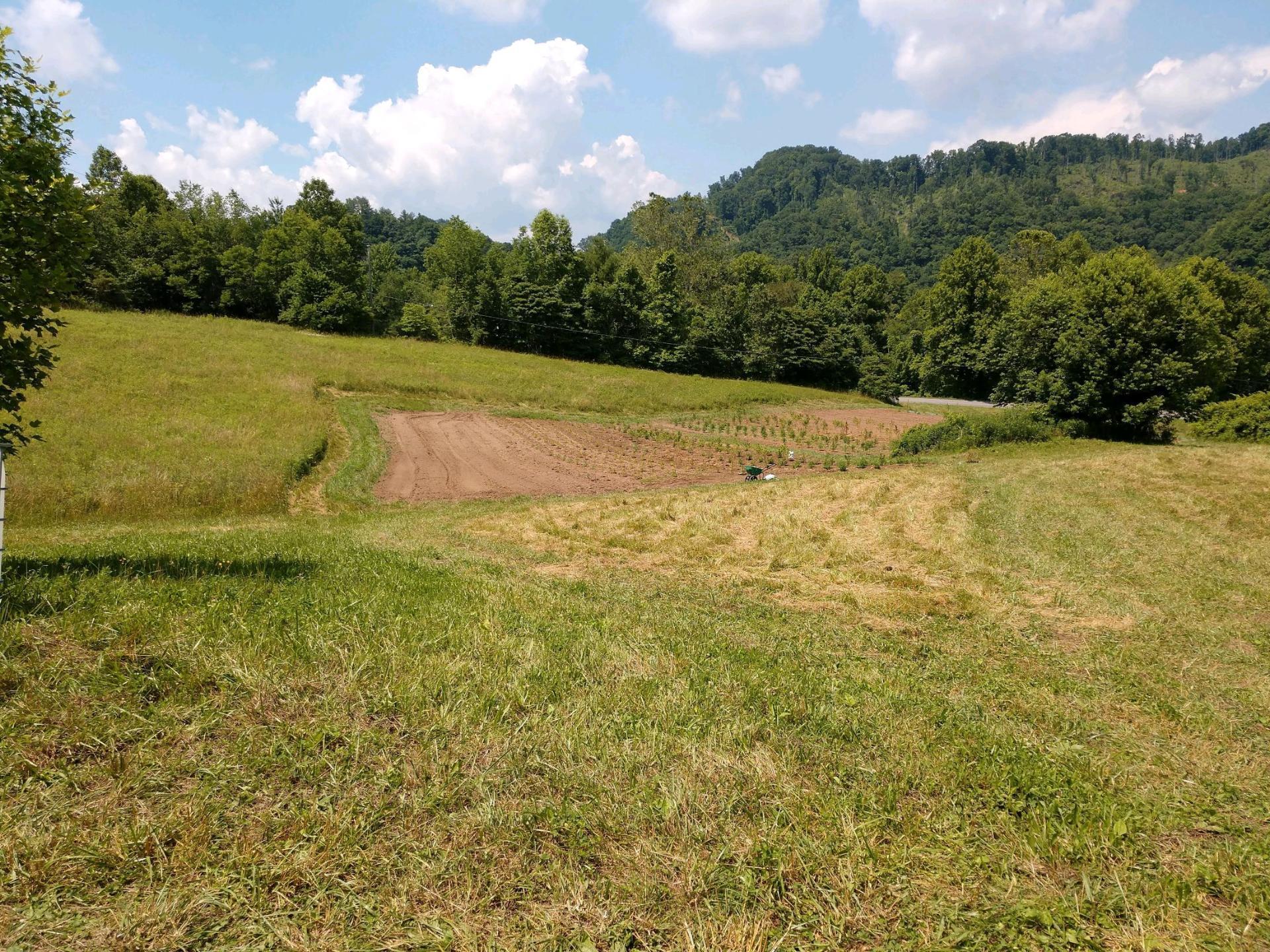 724 Poga Road Butler, TN 37640 - Photo 40 of 45 10258