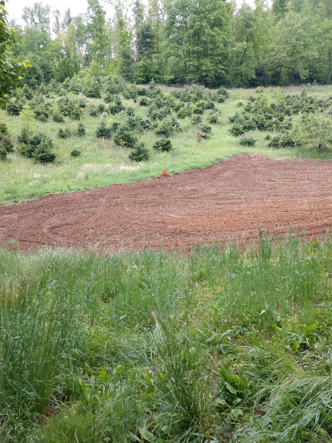 724 Poga Road Butler, TN 37640 - Photo 41 of 45 10259