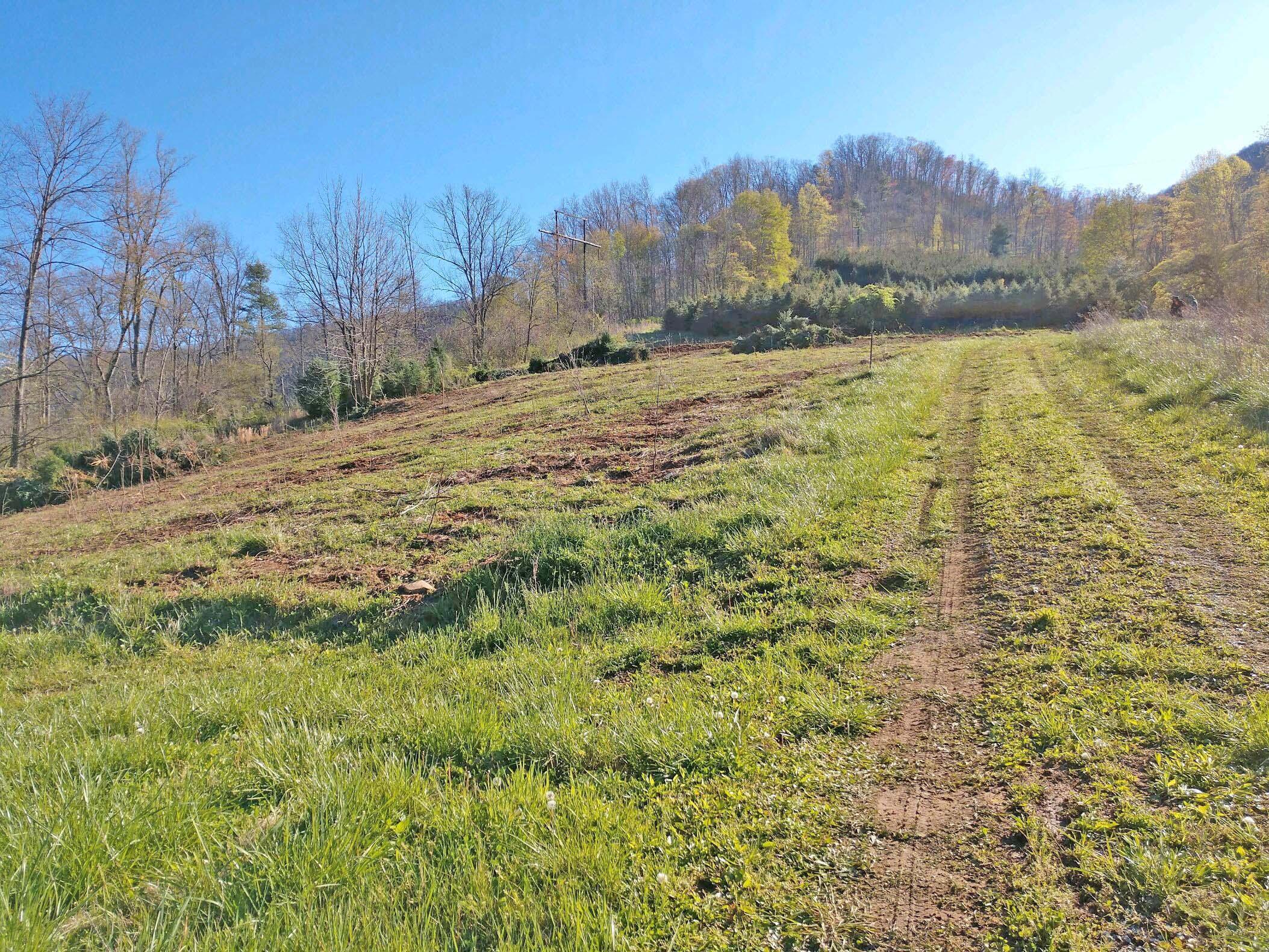 724 Poga Road Butler, TN 37640 - Photo 42 of 45 10262