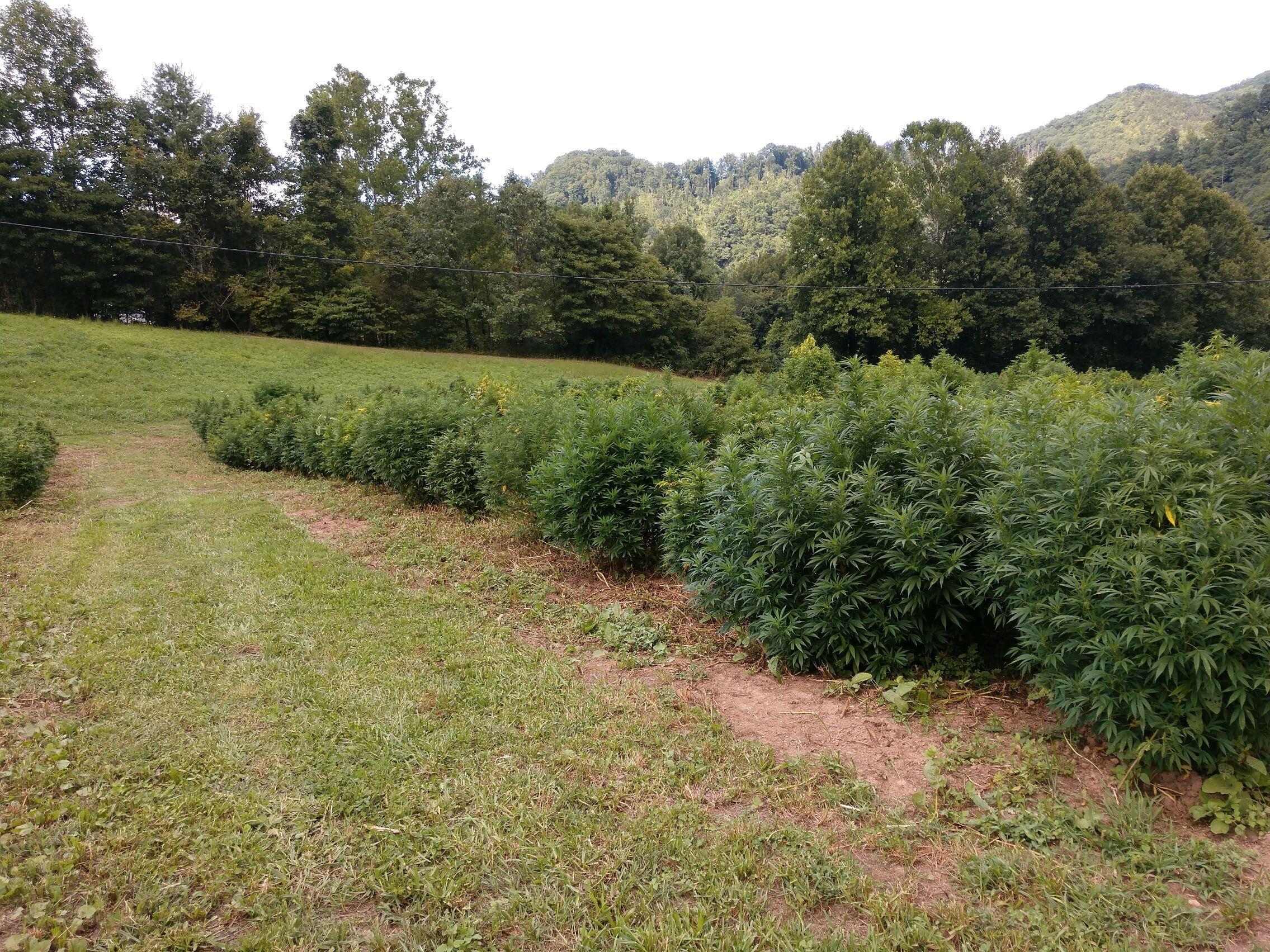 724 Poga Road Butler, TN 37640 - Photo 45 of 45 10266