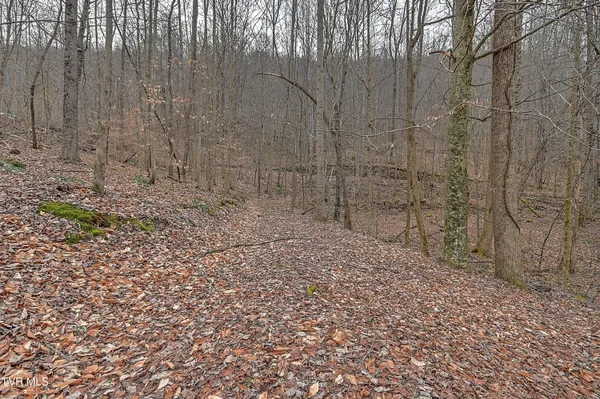 $180,000 | 190 Cactus Drive, Jonesville, VA 24263