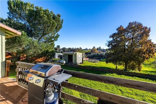 a view of a backyard with plants and a patio