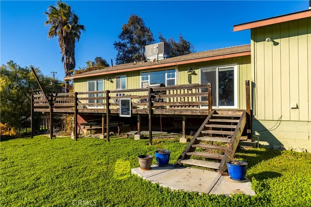 a view of a yard with plants