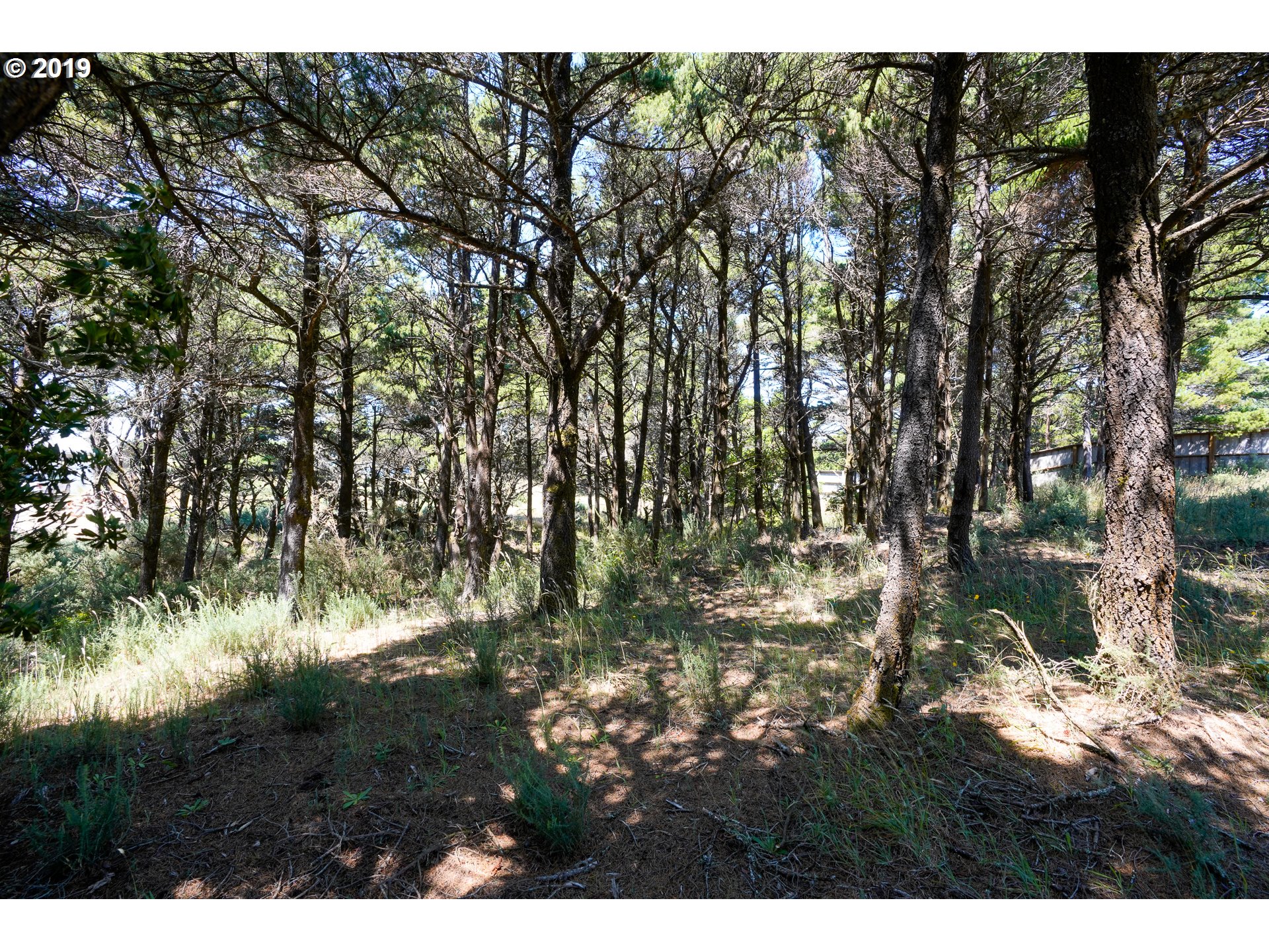 200 Gull Road, Unit 200 Port Orford, OR 97465 - Photo 7 of 28