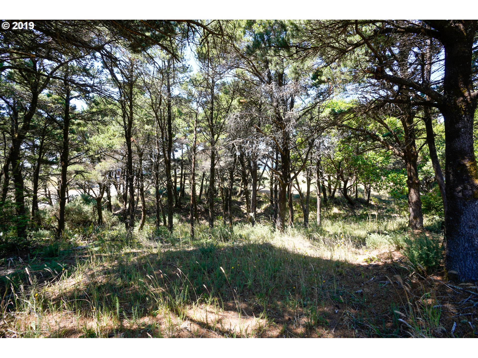 200 Gull Road, Unit 200 Port Orford, OR 97465 - Photo 8 of 28